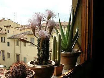 San Giovanni 3* Florence